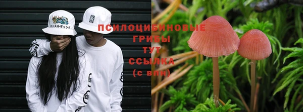 соль ск Аркадак
