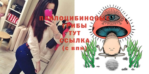 соль ск Аркадак